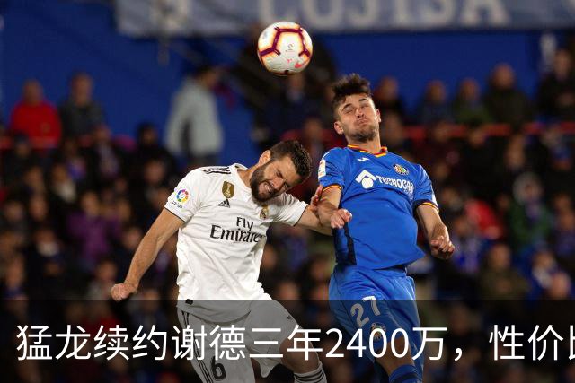 猛龙续约谢德三年2400万，性价比令人刮目相看